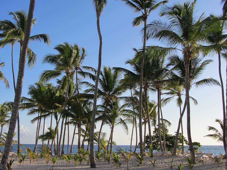 Super Hotel Riu Palace Bavaro