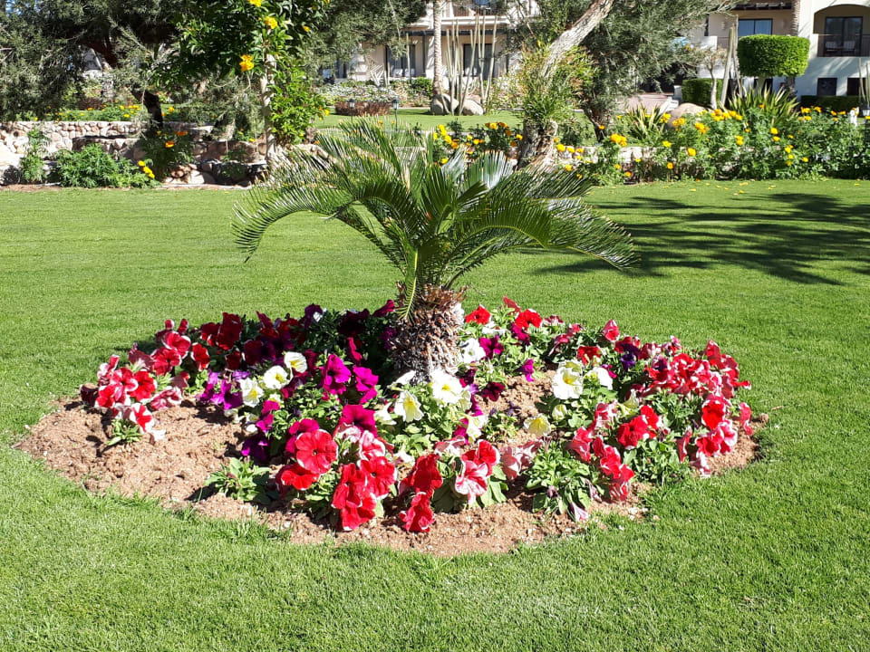 Gartenanlage JAZ Belvedere Resort