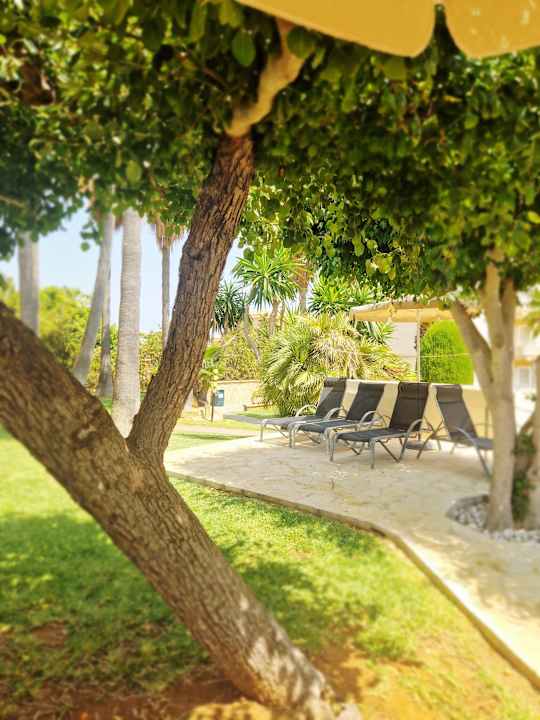 Gartenanlage Club Simó Hotel by Senator