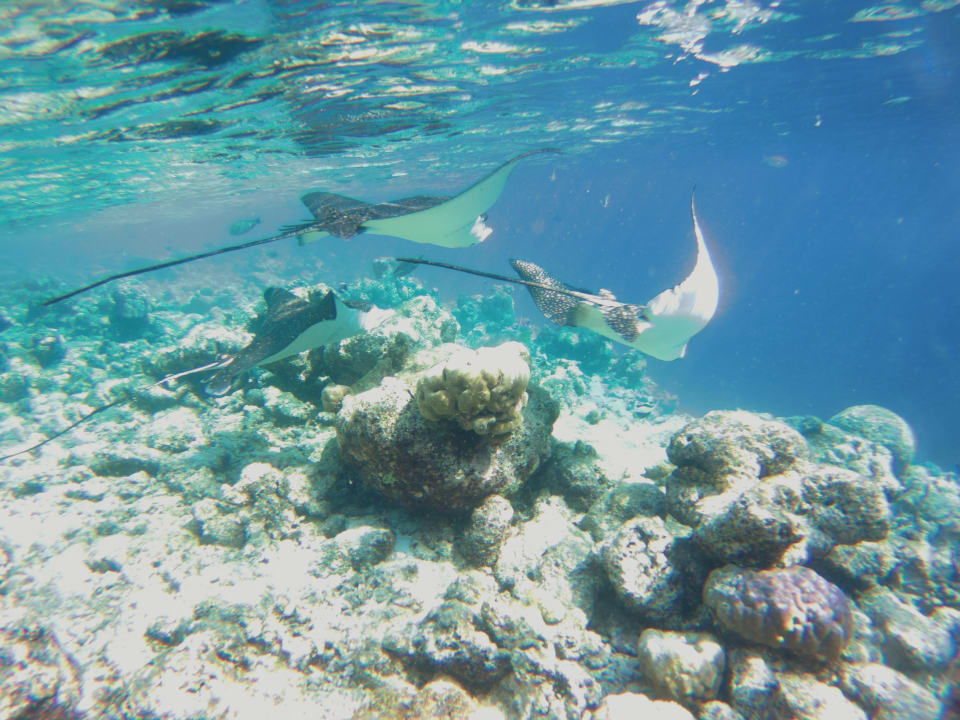 Sport & Freizeit Embudu Village