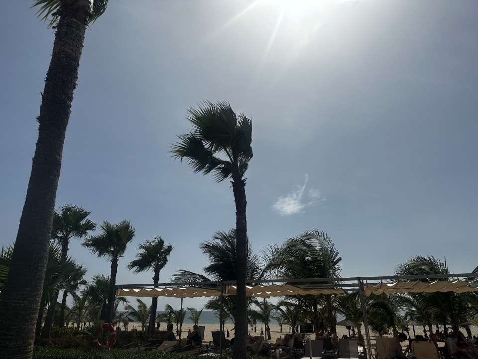 Ausblick Hotel Riu Palace Boavista