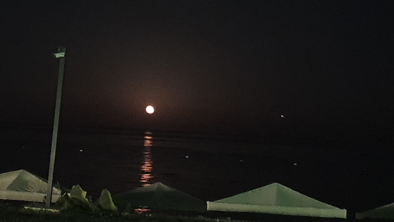 Ausblick TUI MAGIC LIFE Beldibi +16