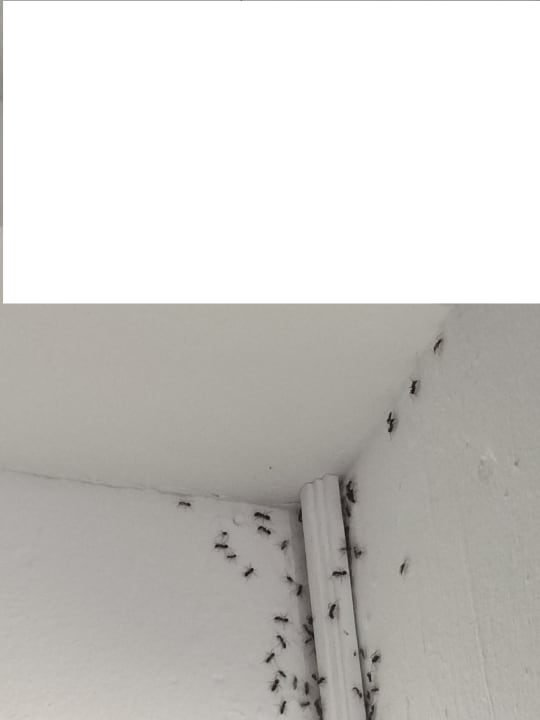 Zimmer One Resort Aqua Park & Spa