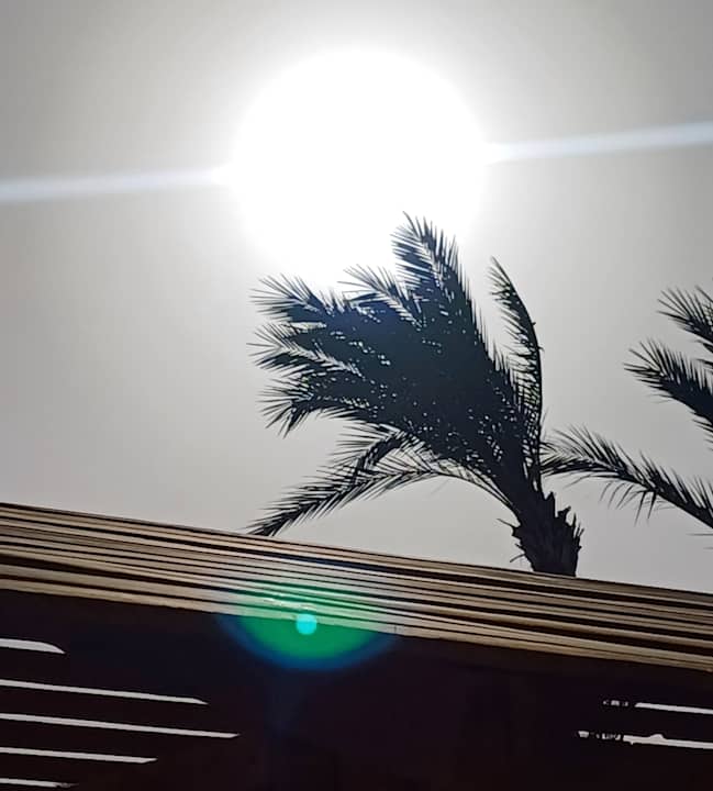 Gartenanlage Three Corners Sea Beach Resort