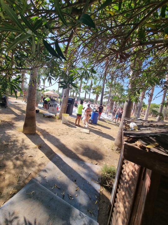 Sport & Freizeit Seaden Sea World Resort & Spa