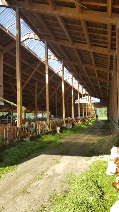 Sonstiges Bernwieserhof