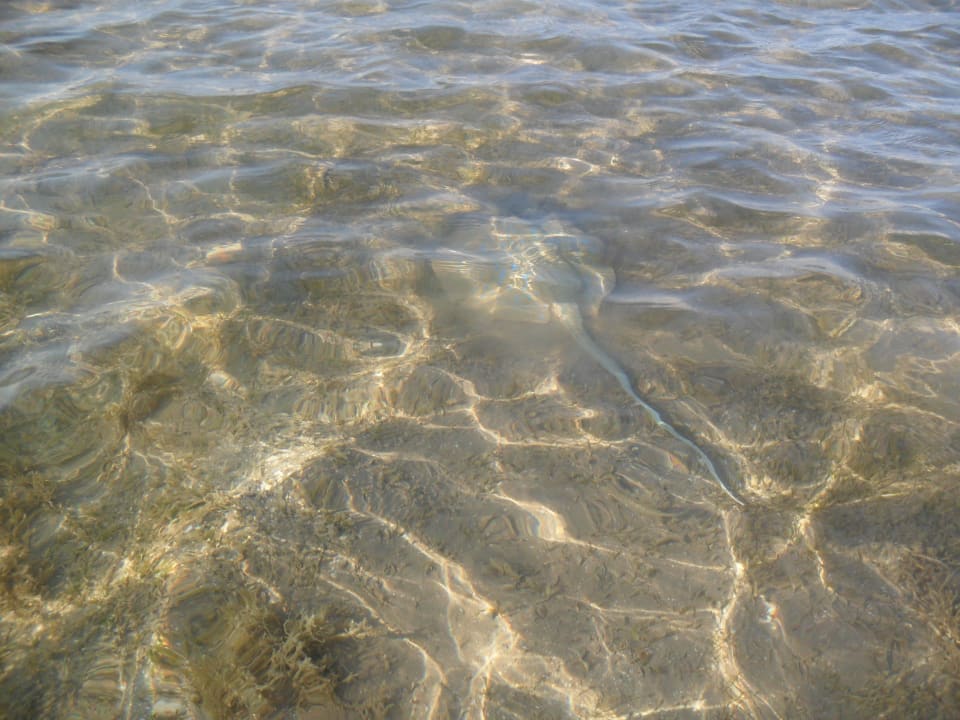 Fish Stella Beach Resort & Spa Makadi Bay