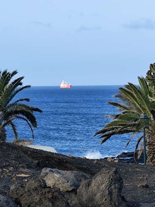 Ausblick allsun App.-Hotel Albatros