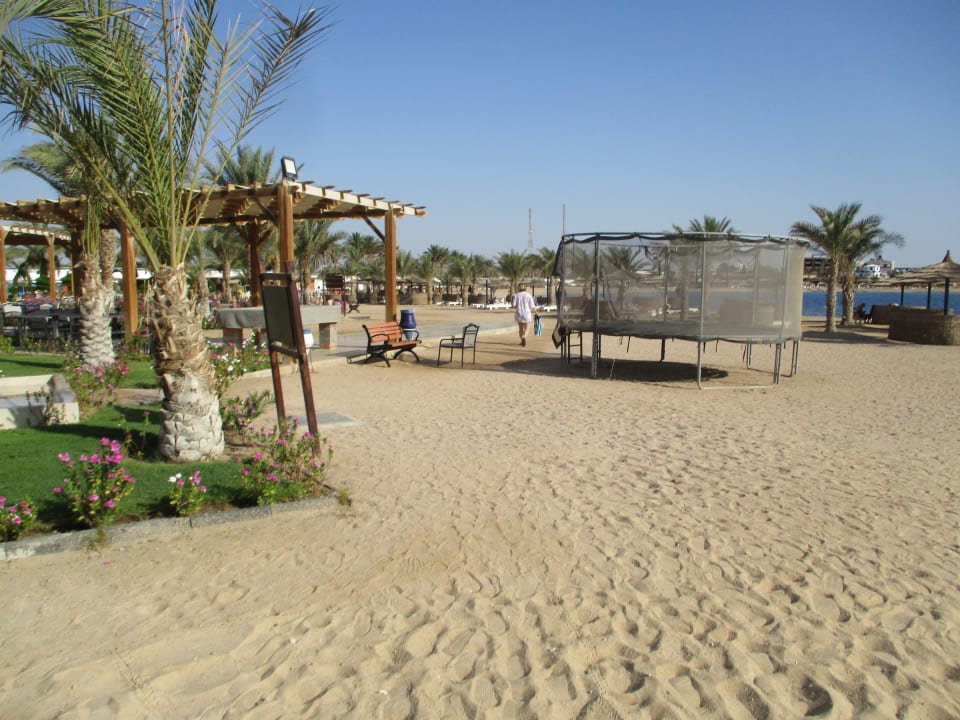 Strand Coral Sun Beach