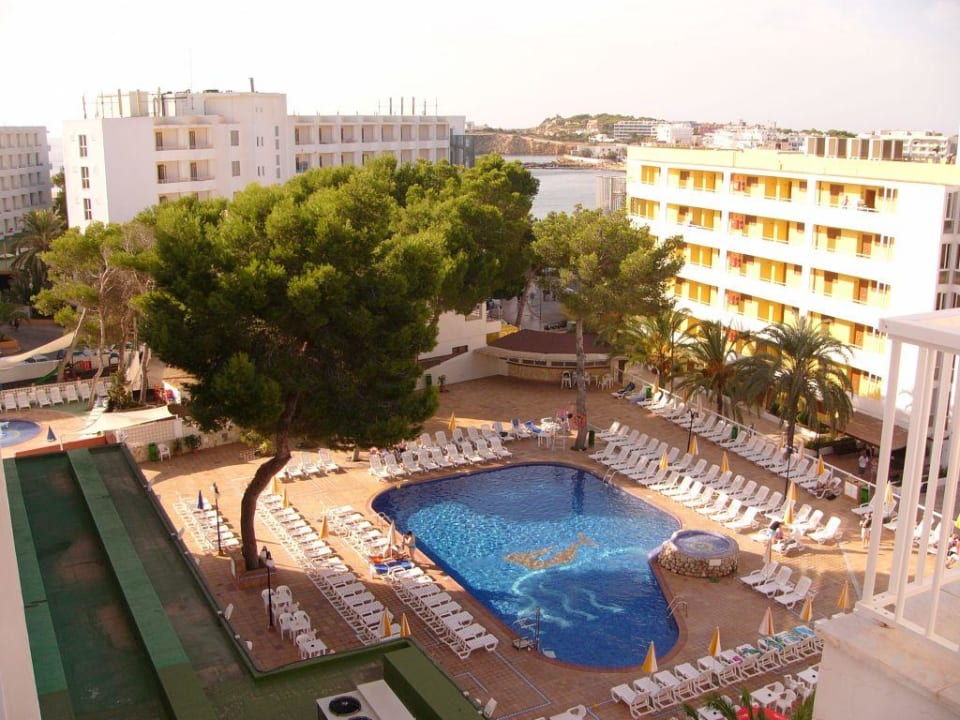 Pool Moon Dreams Coral Beach