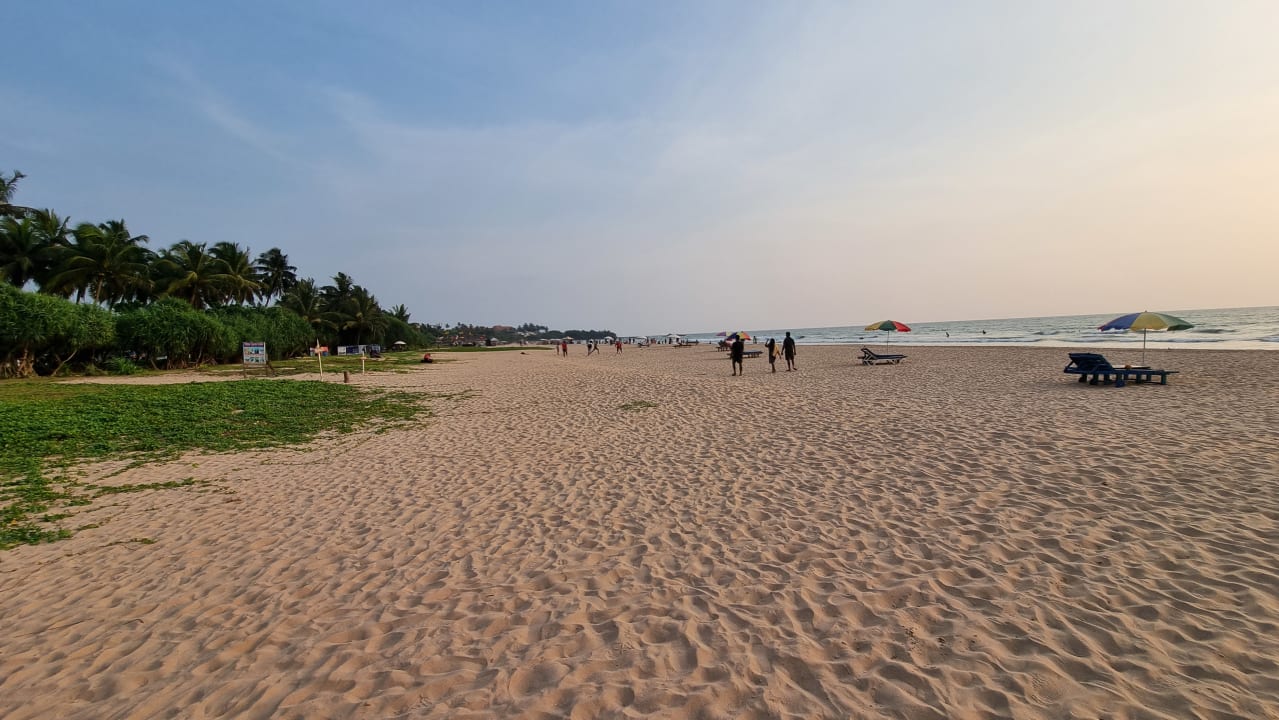 Strand Thaala Bentota