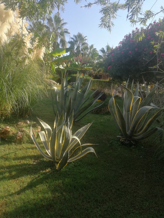 Gartenanlage VONRESORT Golden Beach