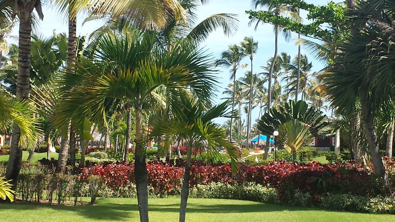 Zimmerausblick Punta Cana Princess All Suites Resort & Spa