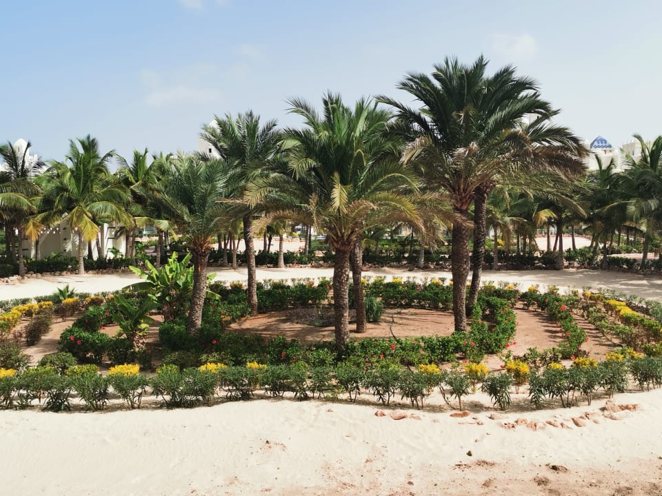 Gartenanlage Hotel Riu Karamboa