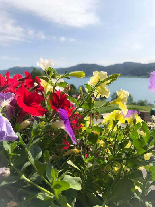 Sonstiges Panoramahotel Gasthof Schönberger