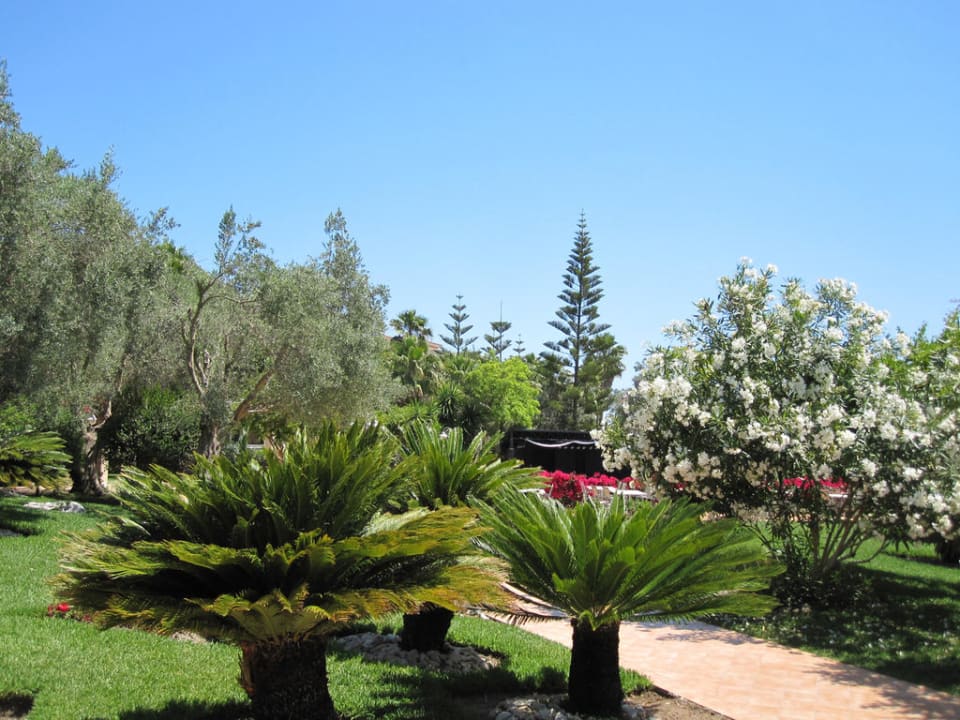 Gartenanlage Playa Garden Selection Hotel & Spa