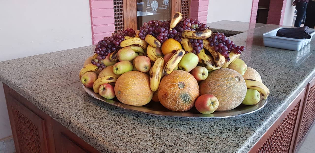 Gastro Ghazala Gardens