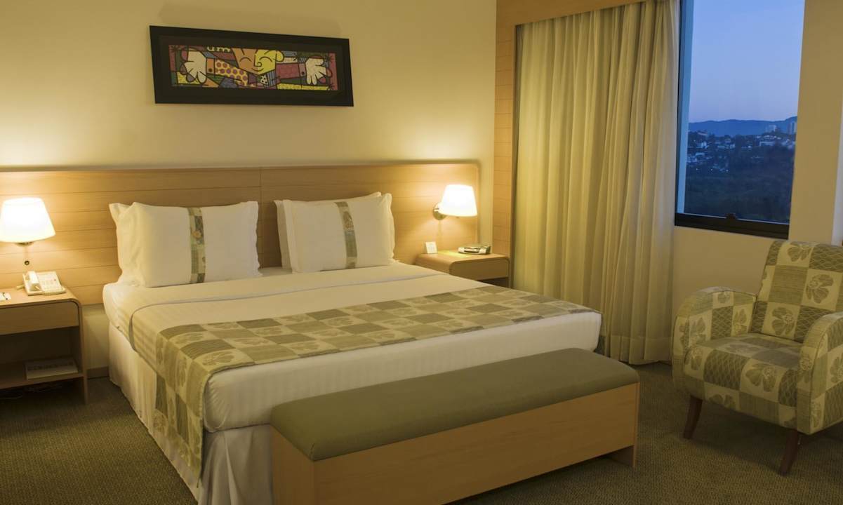 King Classic Hotel Holiday Inn Parque Anhembi