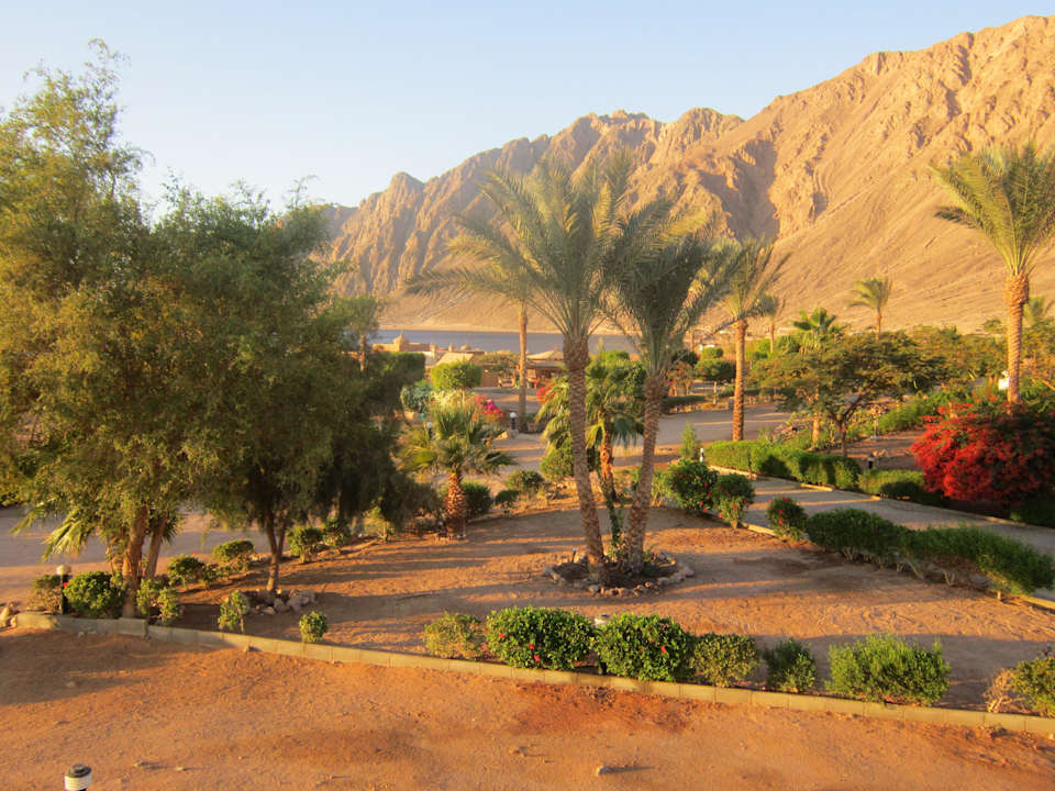 Sehr gepflegt Happy Life Village