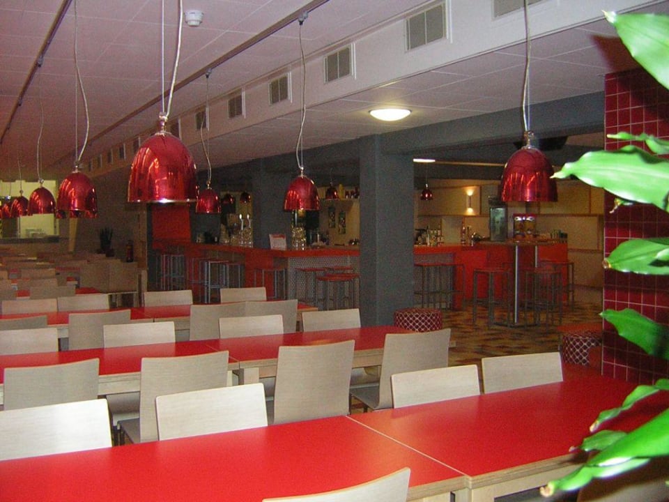 Bar Hostel Stayokay Amsterdam Zeeburg