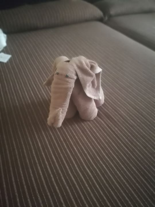 Tag 3 Hotel Riu Tequila