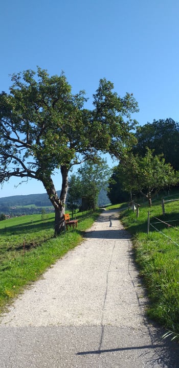 Außenansicht Landhotel Maiergschwendt