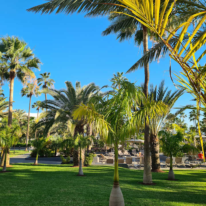 Gartenanlage Hotel Riu Gran Canaria