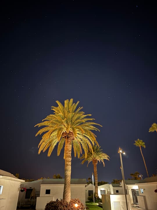 Gartenanlage Club Maspalomas Suites & SPA