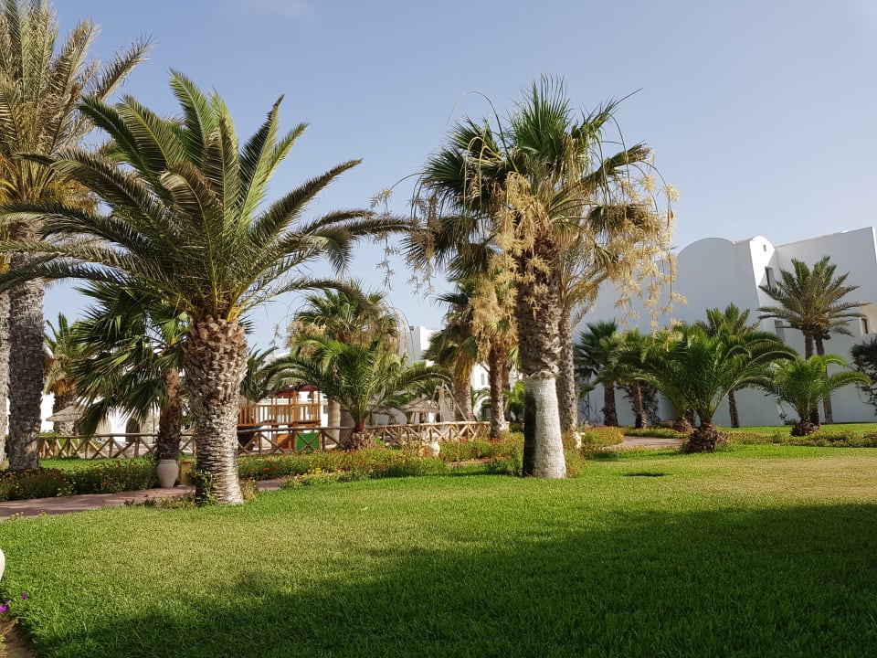 Gartenanlage Club Palm Azur