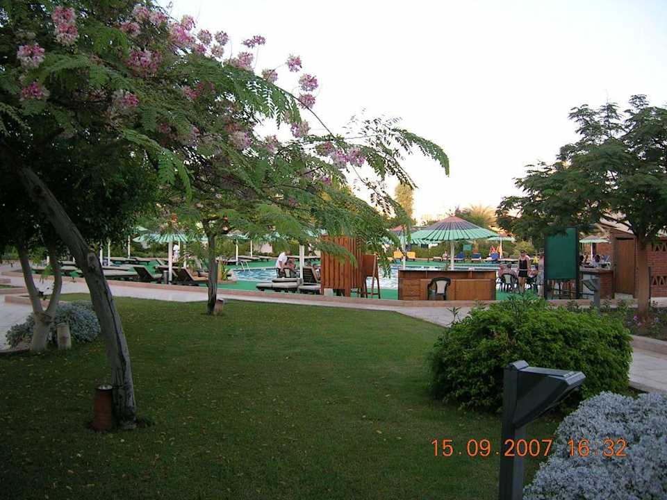 in die andere Richtung Ghazala Beach