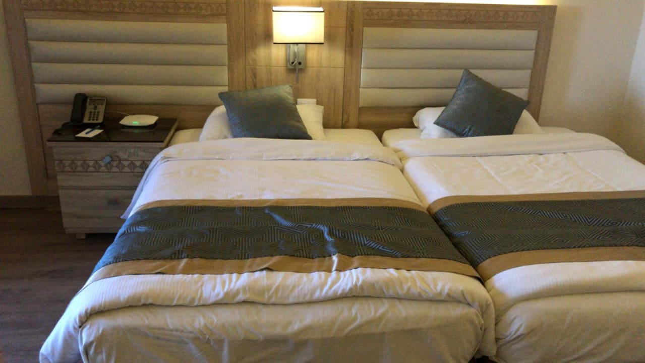 Zimmer Pickalbatros Citadel Resort