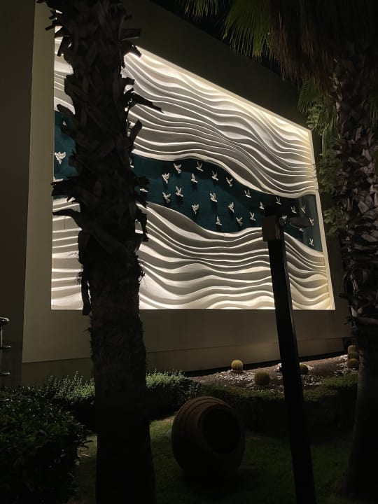 Gastro Paloma Oceana