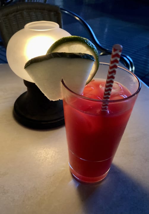 Gastro blau punta reina