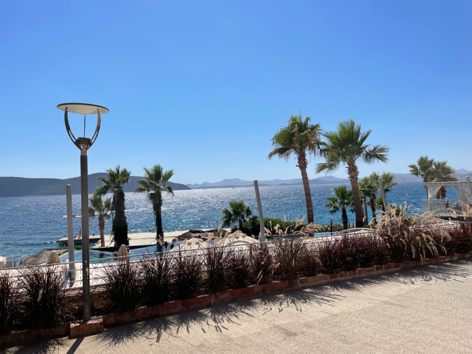 Strand TUI MAGIC LIFE Bodrum - Adult Only (16+)