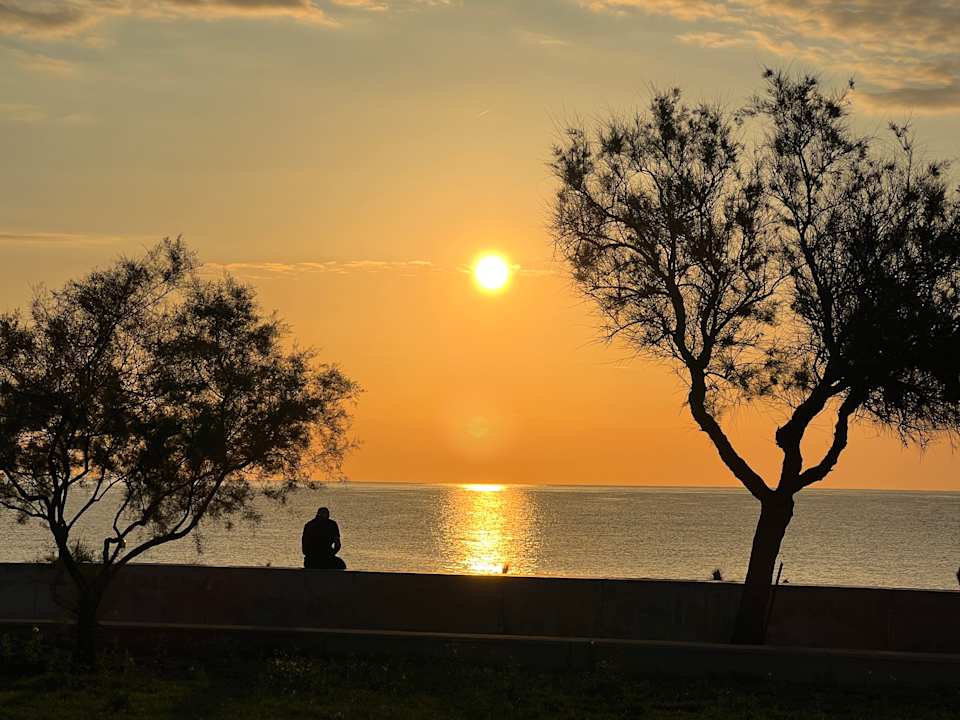 Außenansicht Hipotels Hipocampo Playa
