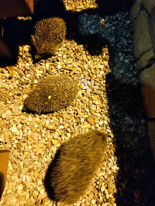 Strand Melas Resort Hotel