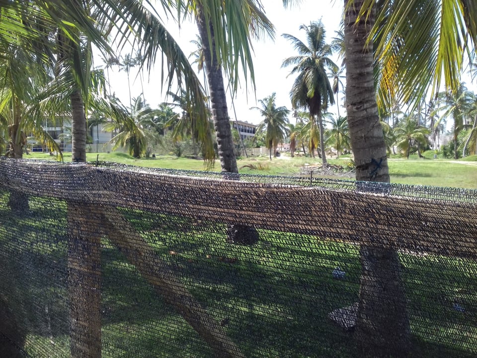 Gartenanlage Villas Bavaro Resort & Spa