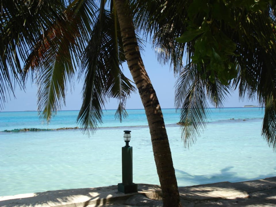 Im Riff Summer Island Maldives