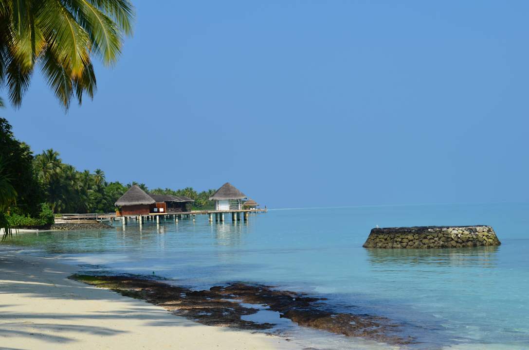 Beach Kuramathi Maldives