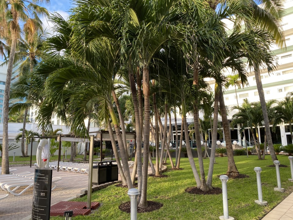 Gartenanlage Hotel Riu Plaza Miami Beach