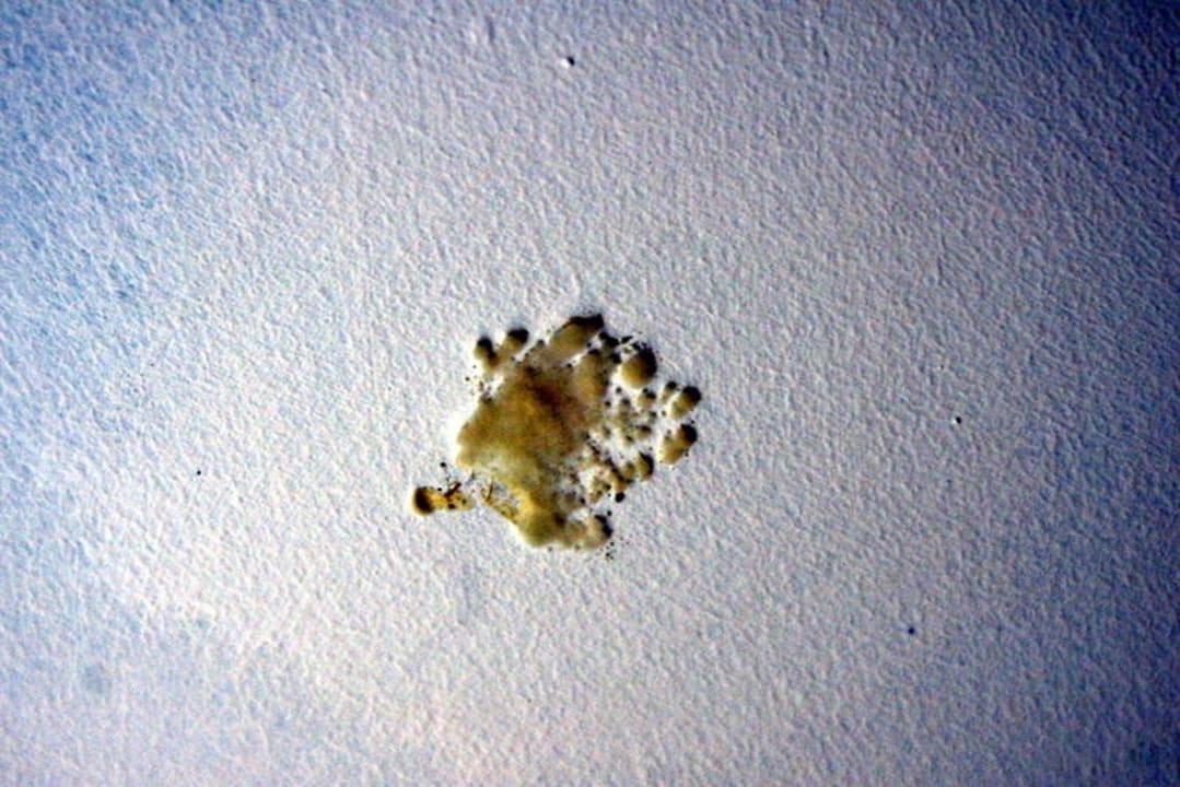 Badezimmer Hotel Riu Negril