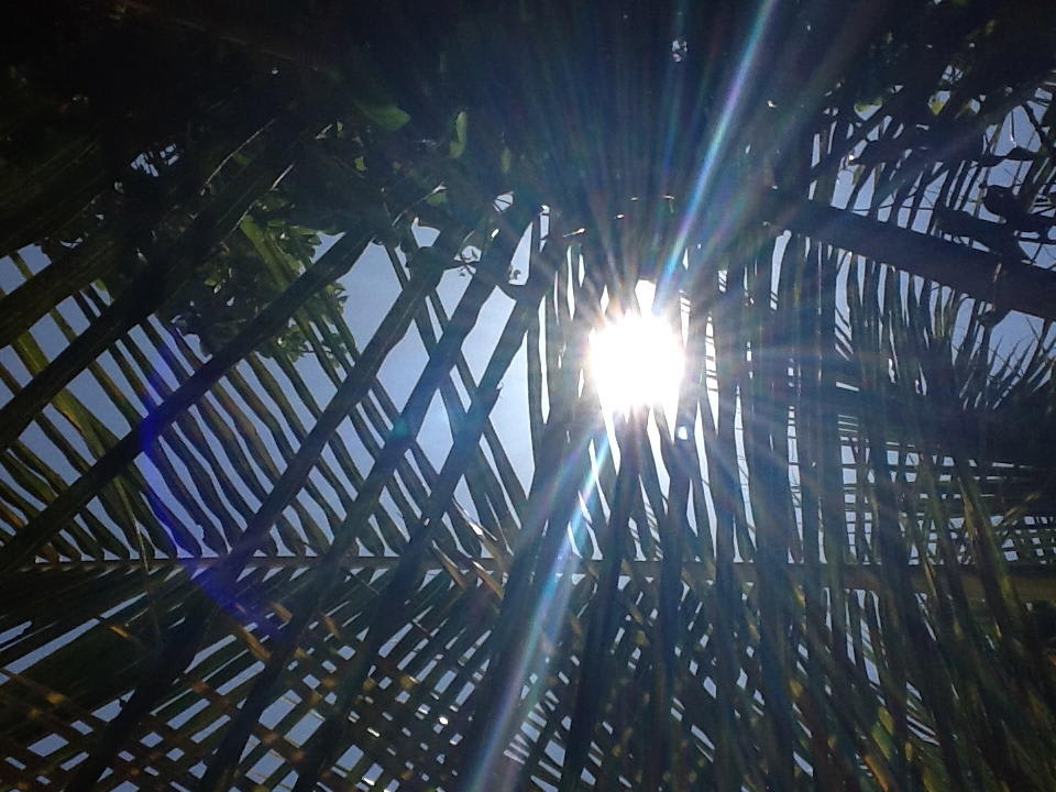 Unser Schattenplatz unter der Palme Summer Island Maldives