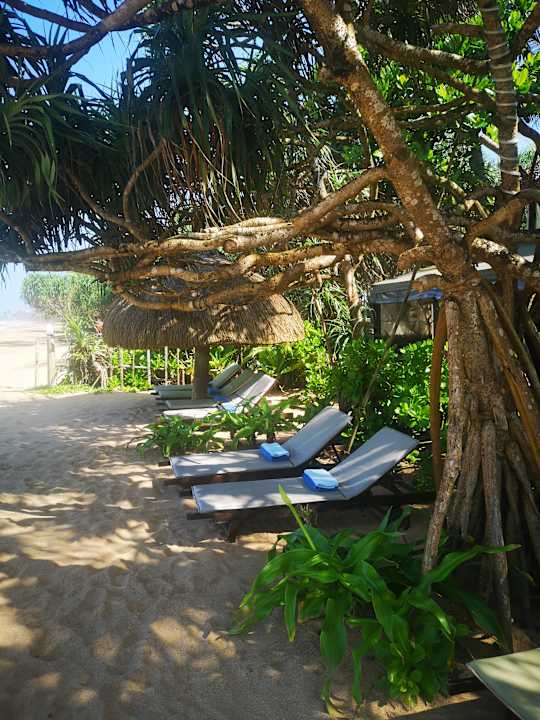 Gartenanlage Pandanus Beach Resort & Spa