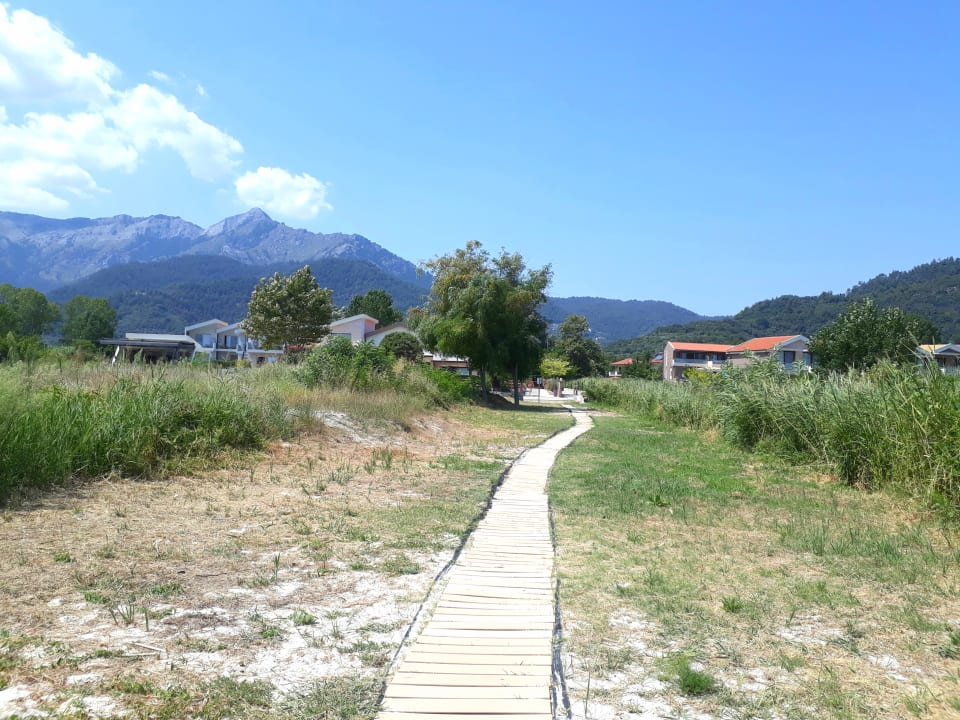 Gartenanlage Alexandra Golden Boutique - Adults only