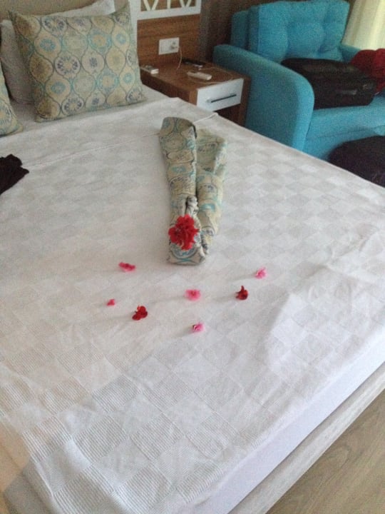 Zimmer Lonicera Resort & Spa Hotel