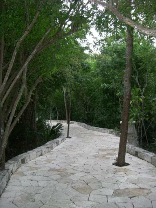 Weg Catalonia Royal Tulum Beach & Spa Resort - Adults only