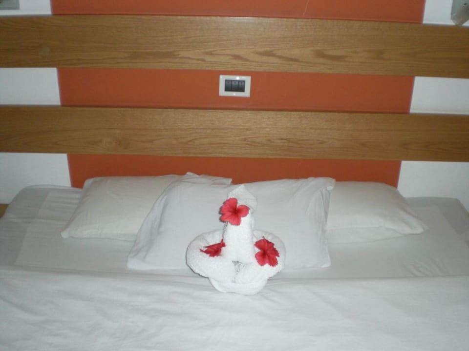 Handtuchtier  Ghazala Beach