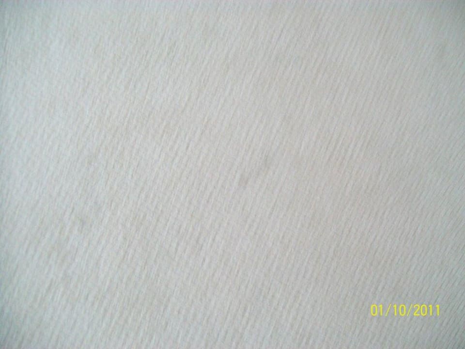 Teppich im Zimmer - überall Flecken Ferien Hotel Bad Malente