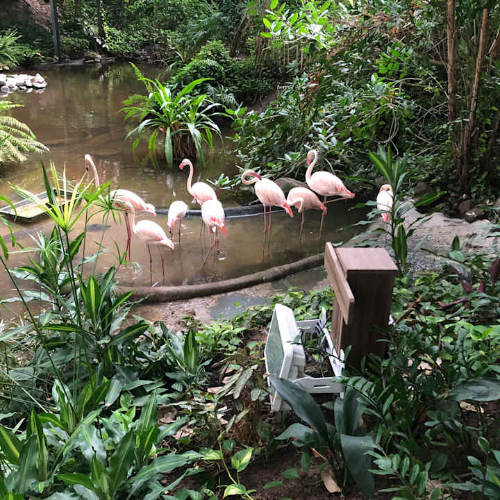 Gartenanlage Tropical Islands Resort
