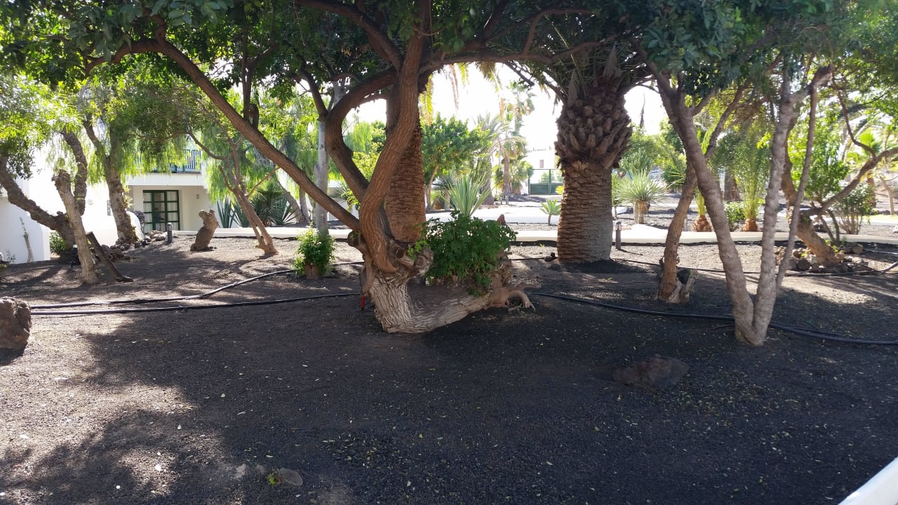 Gepflegt H10 Ocean Suites